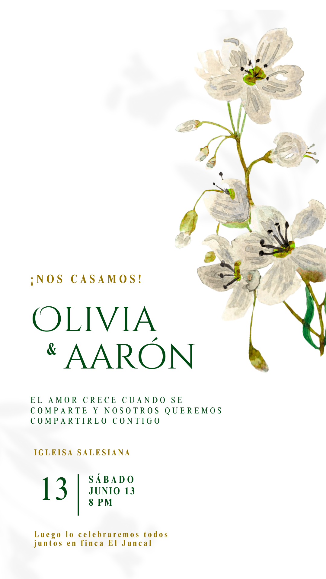 Plantilla Editable - Modelo Aarón